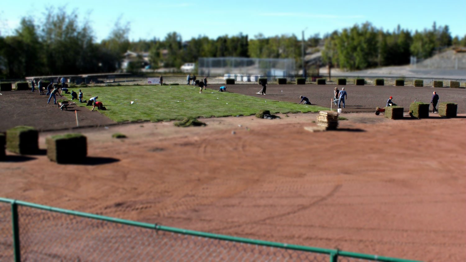 Grass laid at Tommy Forrest ballpark