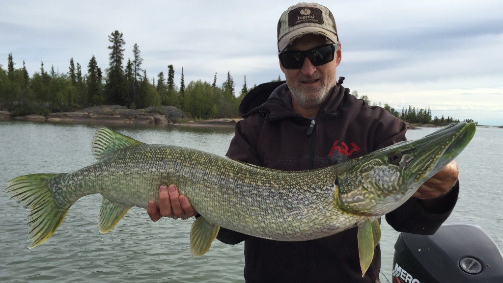 Randy Straker poses with his 14-pound northern pike. Photo credit: Randy Straker